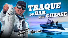 Pêche au Bar sur chasse avec Sylvain Garcia